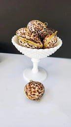Tiger Cowrie Trinket Box
