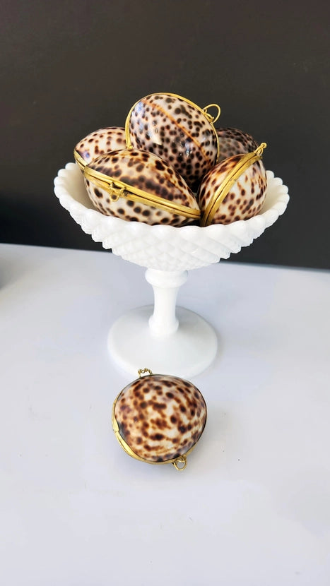 Tiger Cowrie Trinket Box