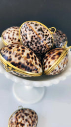 Tiger Cowrie Trinket Box