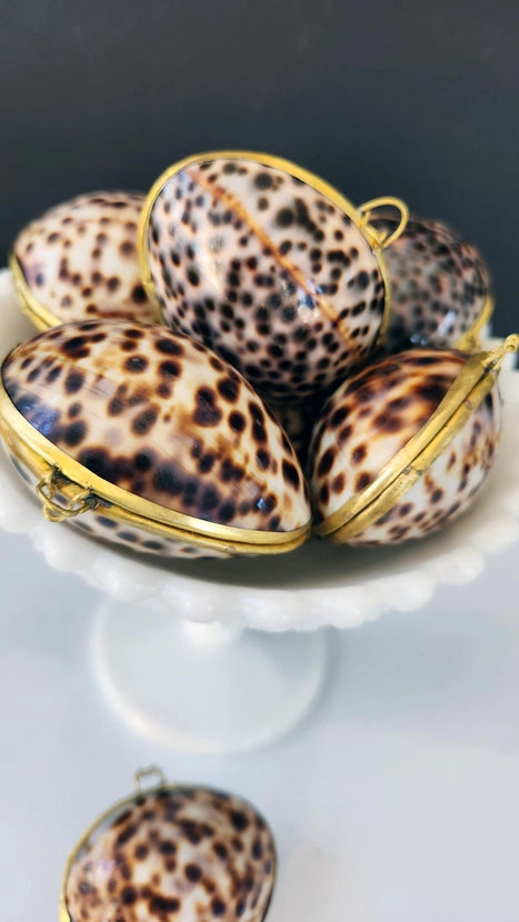 Tiger Cowrie Trinket Box
