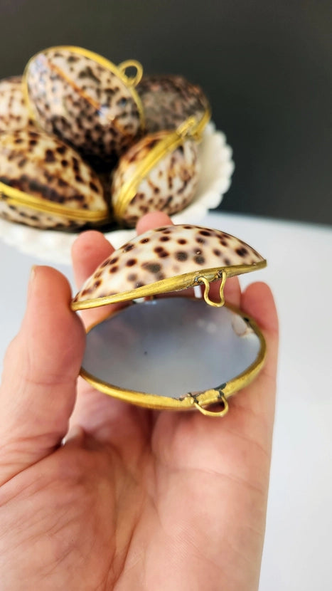 Tiger Cowrie Trinket Box