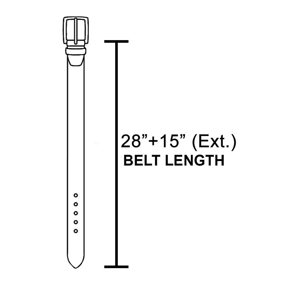 Western Horse Engraved Concho Chain Belt