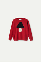 Load image into Gallery viewer, Sweater with mushroom print