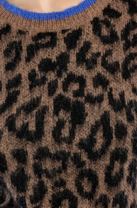 Leopard Knit Sweater