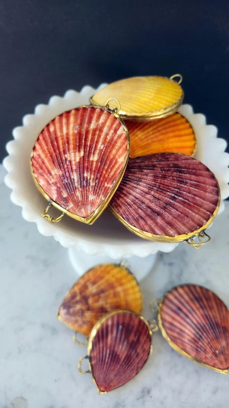 Noble Pectin Trinket Box