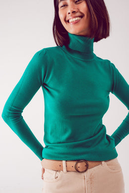 Fine Knit High Neck Jumper