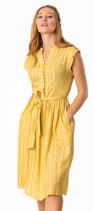 Yellow Gold Button Front Shirtwaist Striped Dress